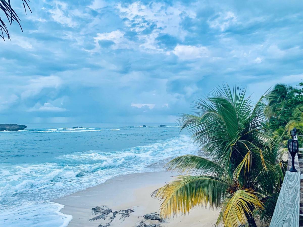 Appartamento Ventana Al Atlantico At Arecibo 681 Ocean Drive Islote Esterno foto
