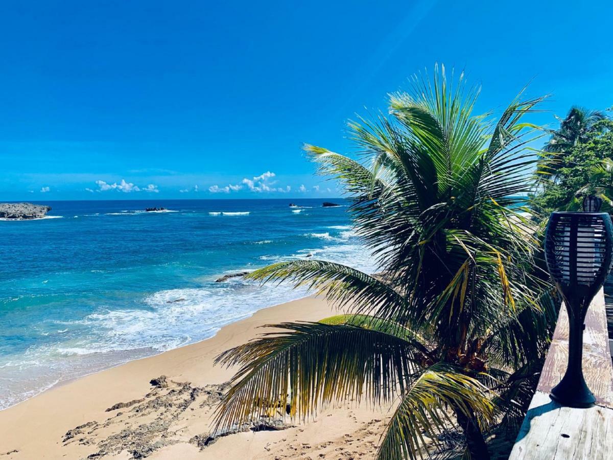 Appartamento Ventana Al Atlantico At Arecibo 681 Ocean Drive Islote Esterno foto
